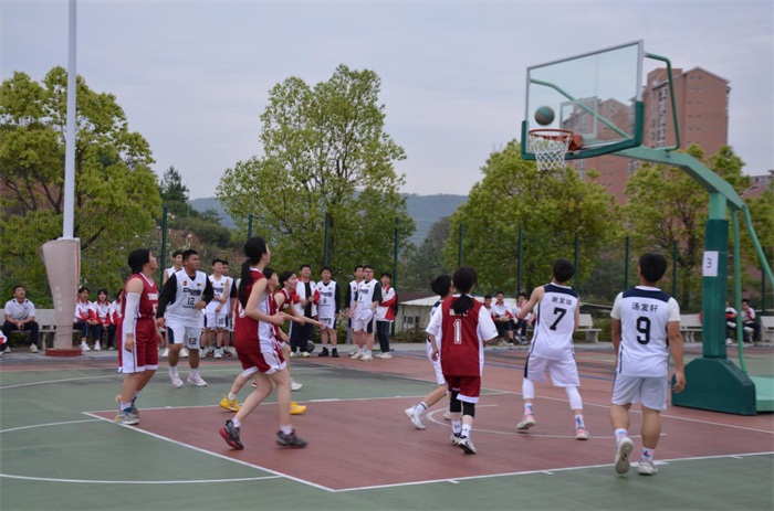 1681383164221503.png 图片14.png